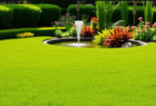 Lawn Care Services for a Lush and Green Lawn