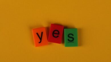 photo licensing terms overview