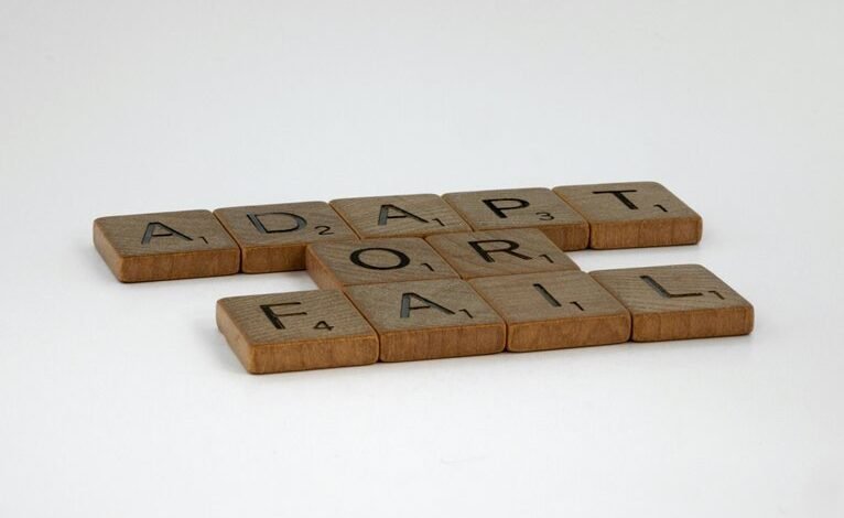 adaptive strategies concepts analysis