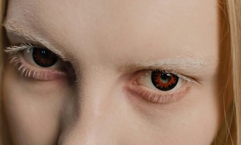 contact details overview provided