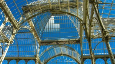 digital growth framework advancement