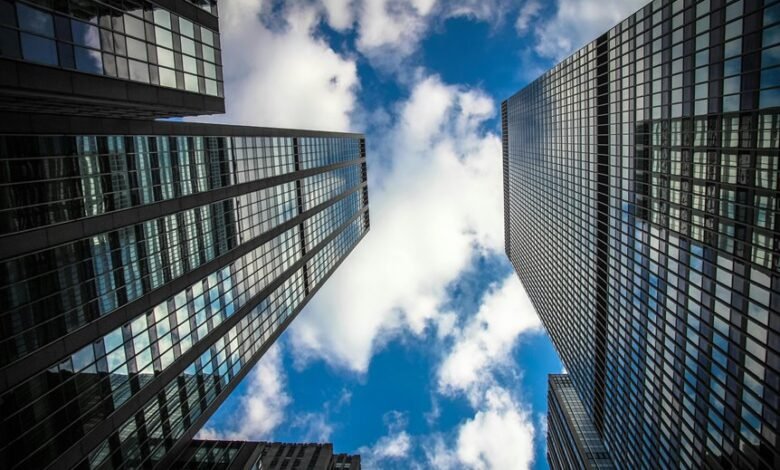 dynamic rise of infinity