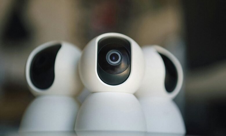 ip activity records review