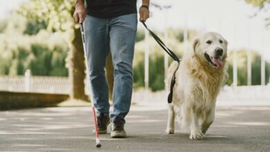 trusted tech support line