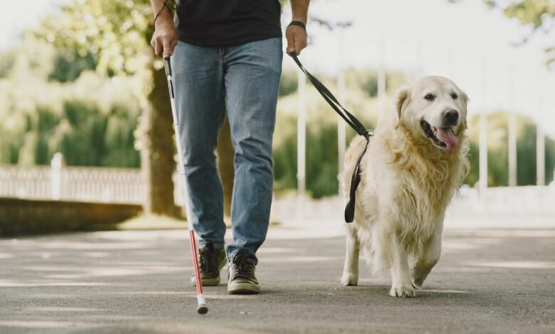 trusted tech support line